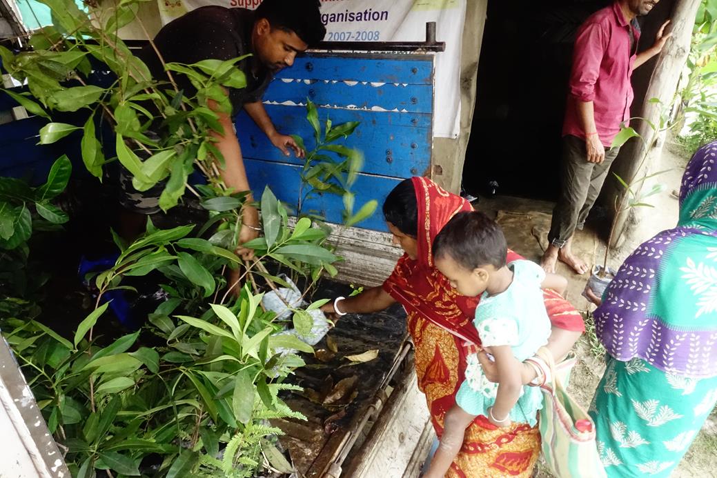 Afforestation